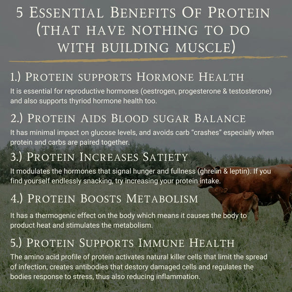 *25% OFF BBE 11th December 2026* Grass-Fed Beef Protein | Raw Cacao & Maple Sea Salt