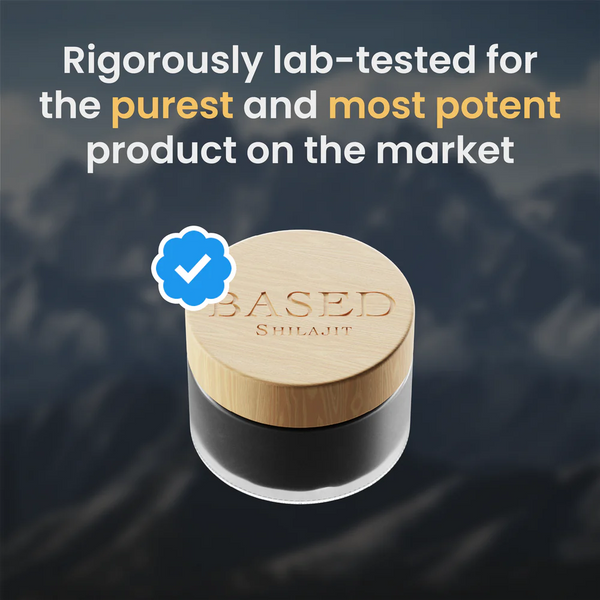 Shilajit Harz 30g (Altai-Gebirge)