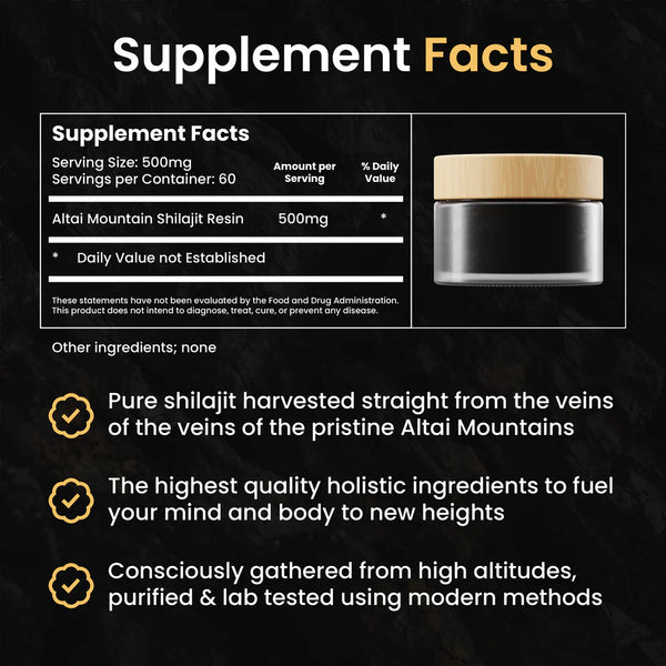 Shilajit Harz 30g (Altai-Gebirge)