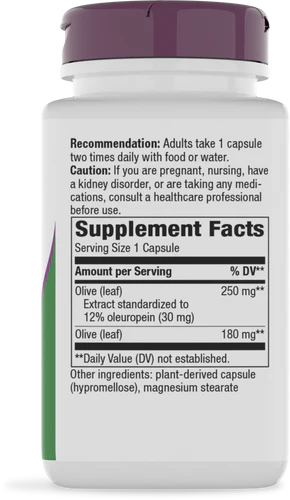 Olive Leaf Extract 20% Oleuropein 60 Capsules by Natures Way