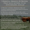 *25% OFF BBE 11th December 2026* Grass-Fed Beef Protein | Raw Cacao & Maple Sea Salt
