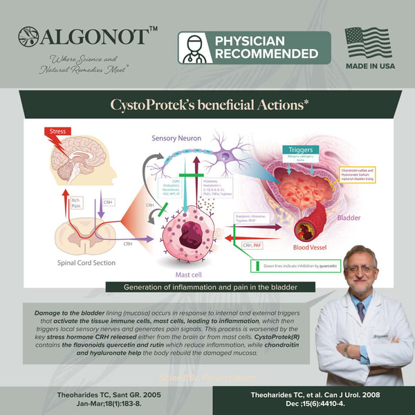 cystoprotek by algonot 90 capsule