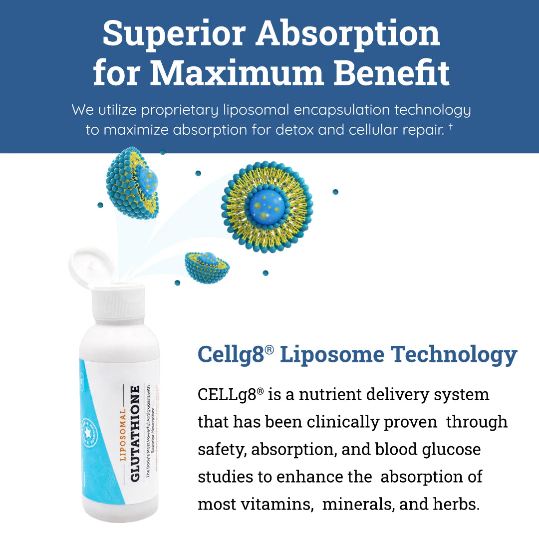 15% OFF BBE 31st August 2026* Liposomal Glutathione 120ml | MandiMart-EU 15% OFF BBE 31st August 2026* Liposomal Glutathione 120ml | MandiMart-EU